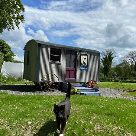 The Hares Hut At Carrigeen Glamping 킬케니 외부 사진