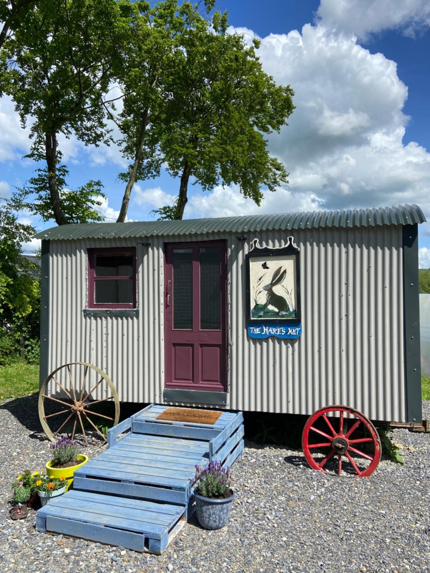 The Hares Hut At Carrigeen Glamping 킬케니 외부 사진